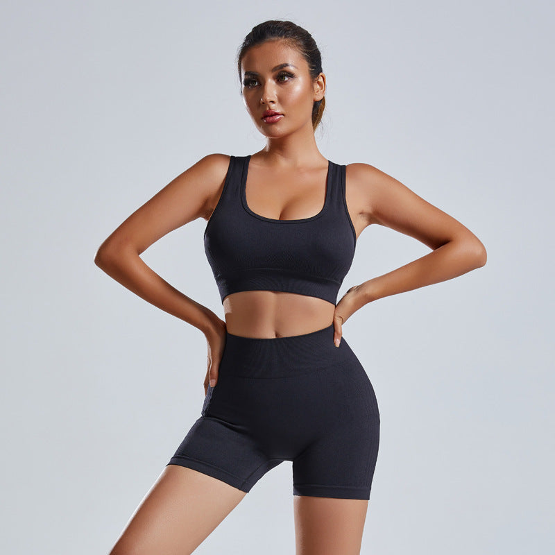 Women's 2-Piece Seamless Yoga Set Vest Top Shorts Workout